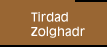 Tirdad Zolghadr
